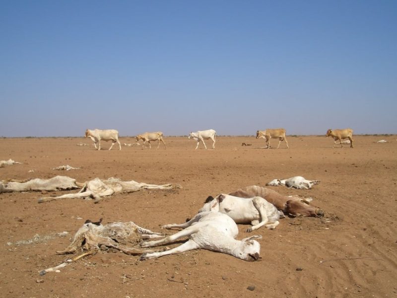 Drought Declared in the UK