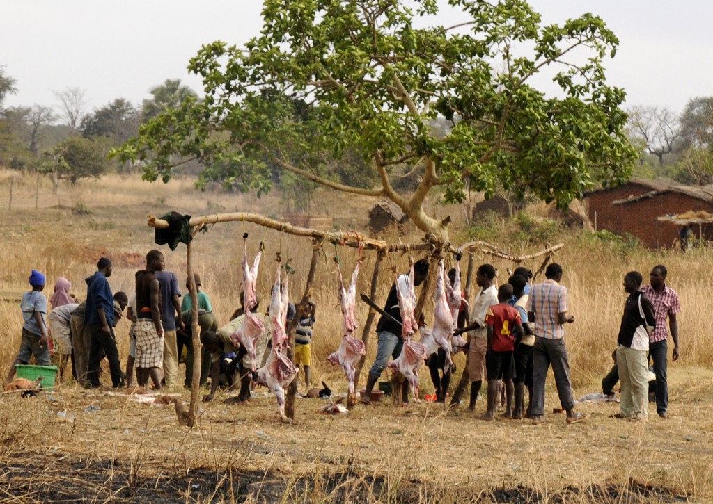Lives in Malawi
