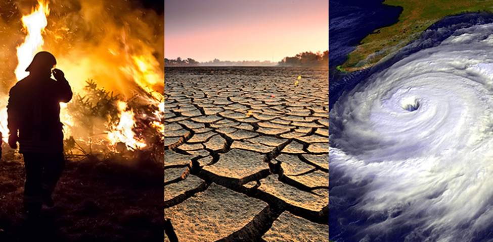 Disastrous Effects on Earth