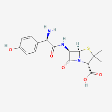 Amoxicillin Ingredients